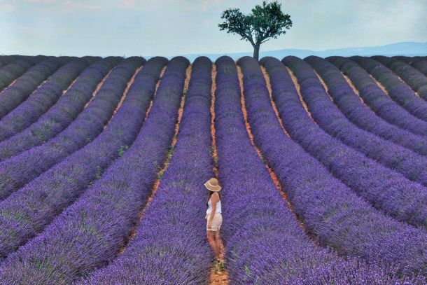 wp-content/uploads/yootheme/blog-post-warm-breeze-and-the-scent-of-lavender-why-we-love-provence.jpg